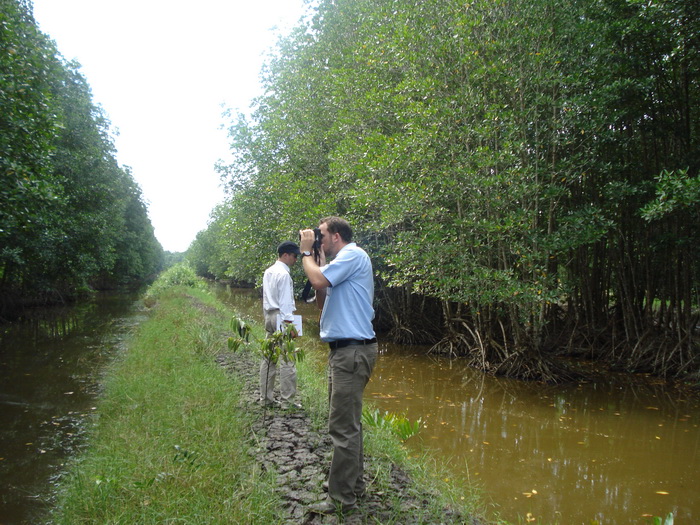 Customer visit Black tiger in Mangrove farm
